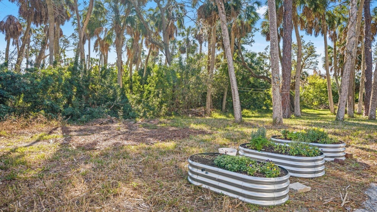 Photo of Outdoor in Spring Hill