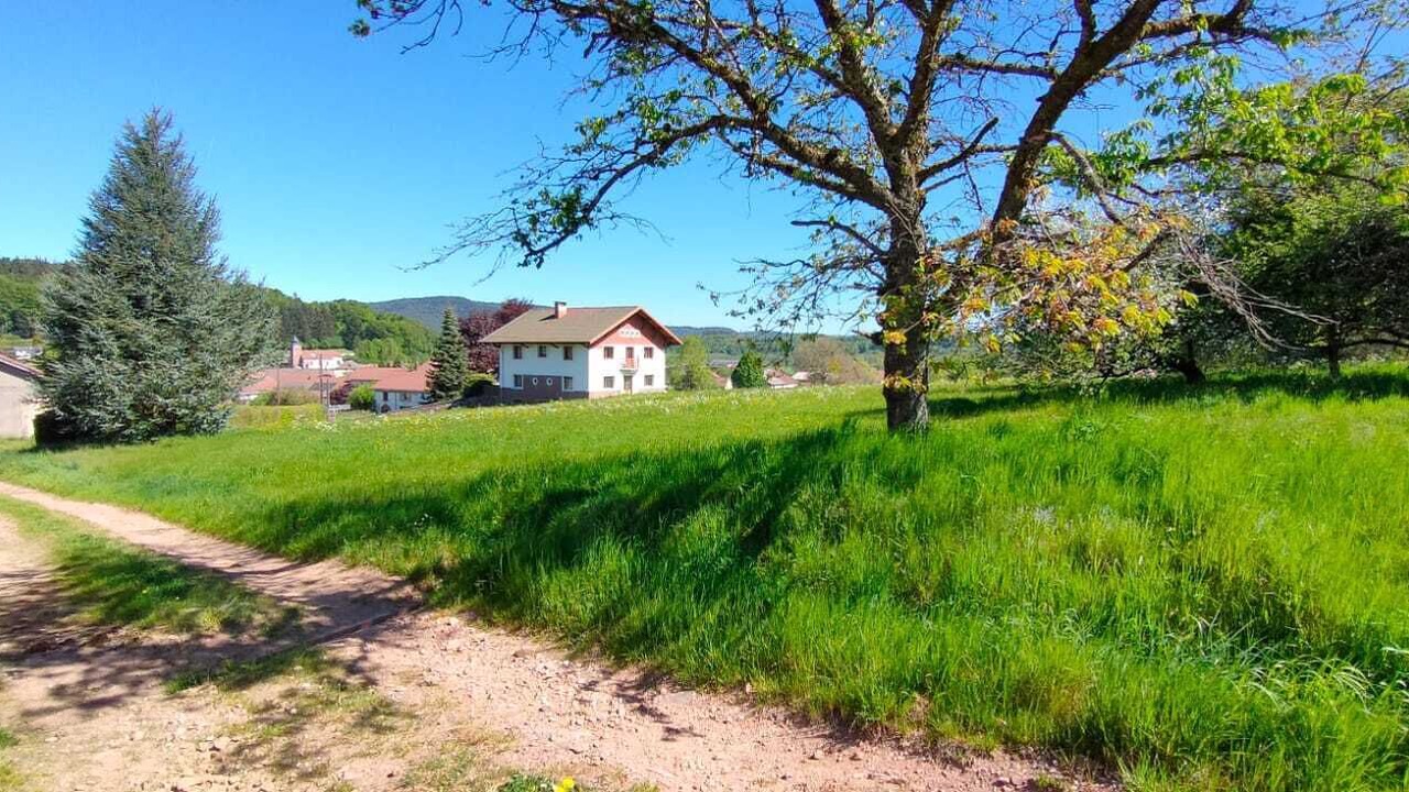 Photo of Outdoor in Jussarupt