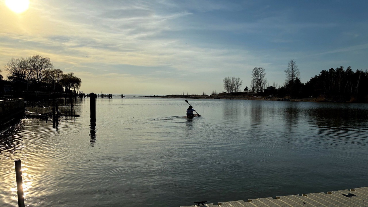 Photo of Others in Port Franks
