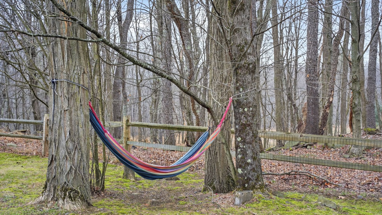 Photo of Others in Mountain Dale