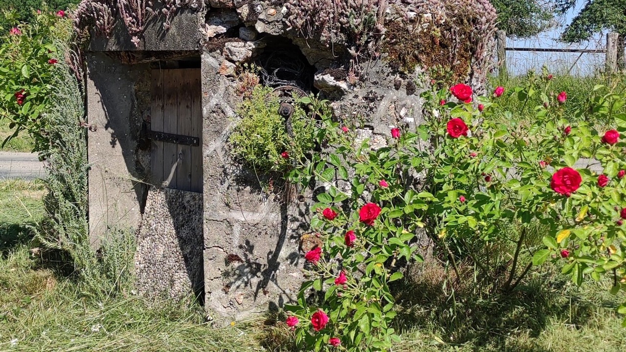 Photo of Outdoor in Verdelot