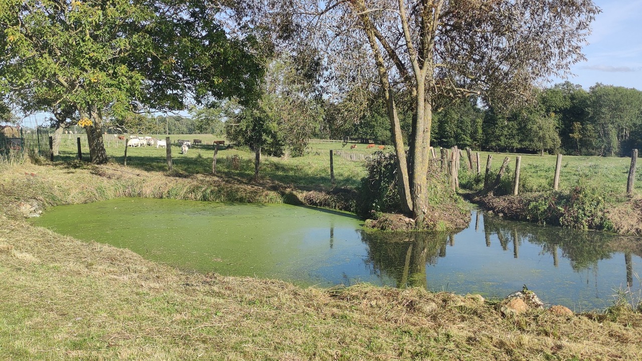 Photo of Others in Verdelot