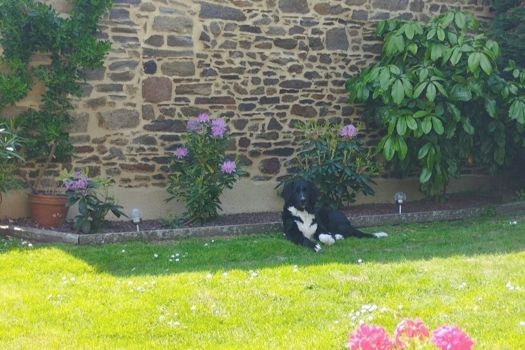 Photo of Outdoor in Cancale