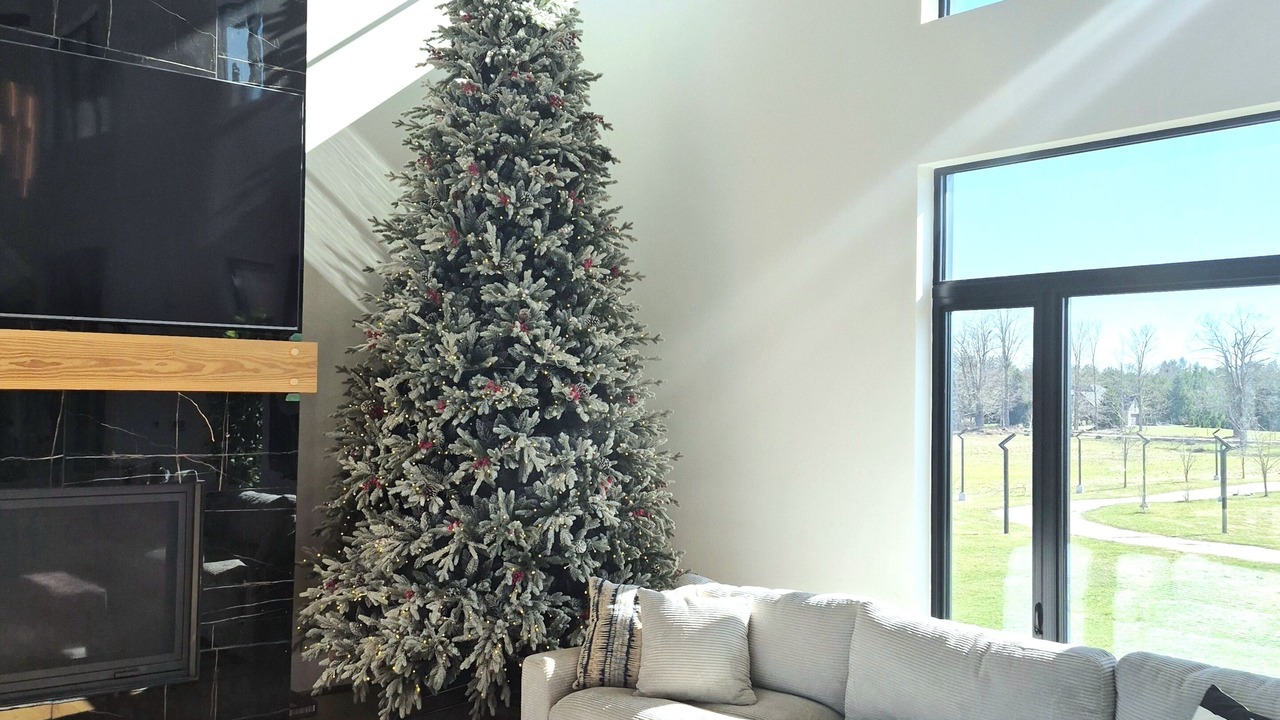 Photo of Livingroom in Milton