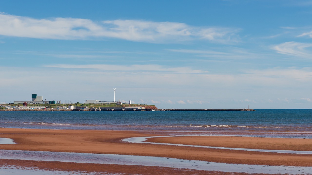 Photo of Others in Red Point