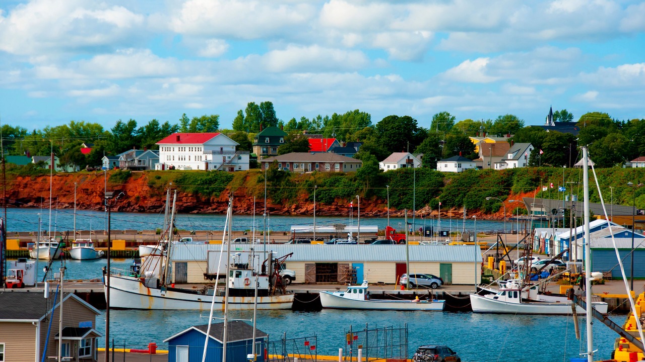 Photo of Others in Red Point