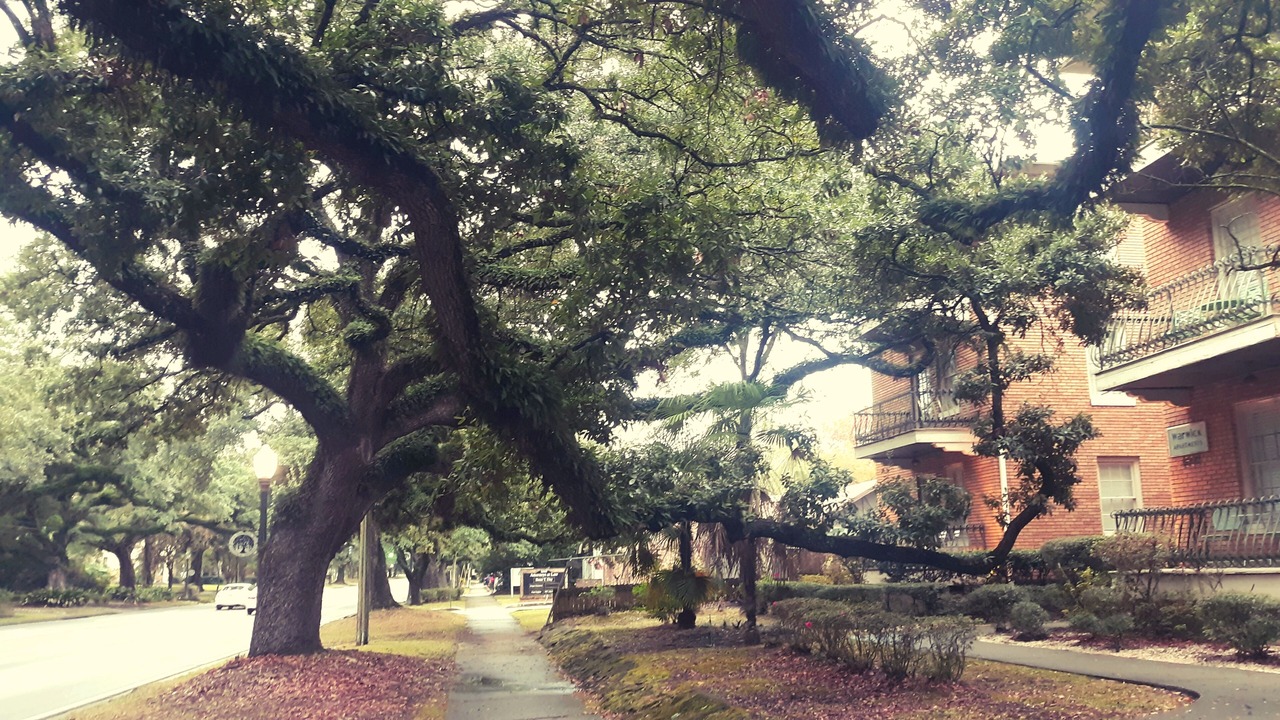 Photo of Outdoor in Hannon Park