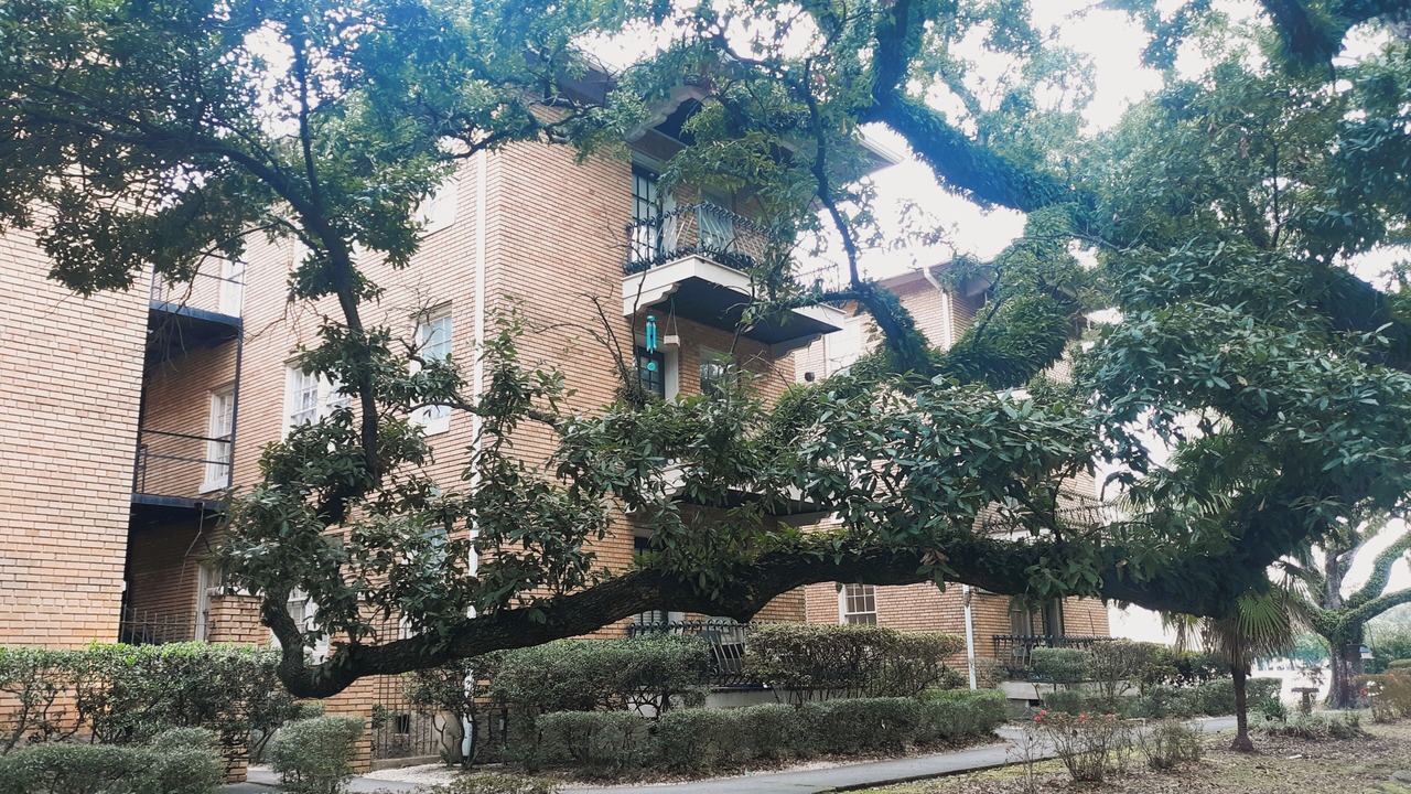 Photo of Outdoor in Hannon Park