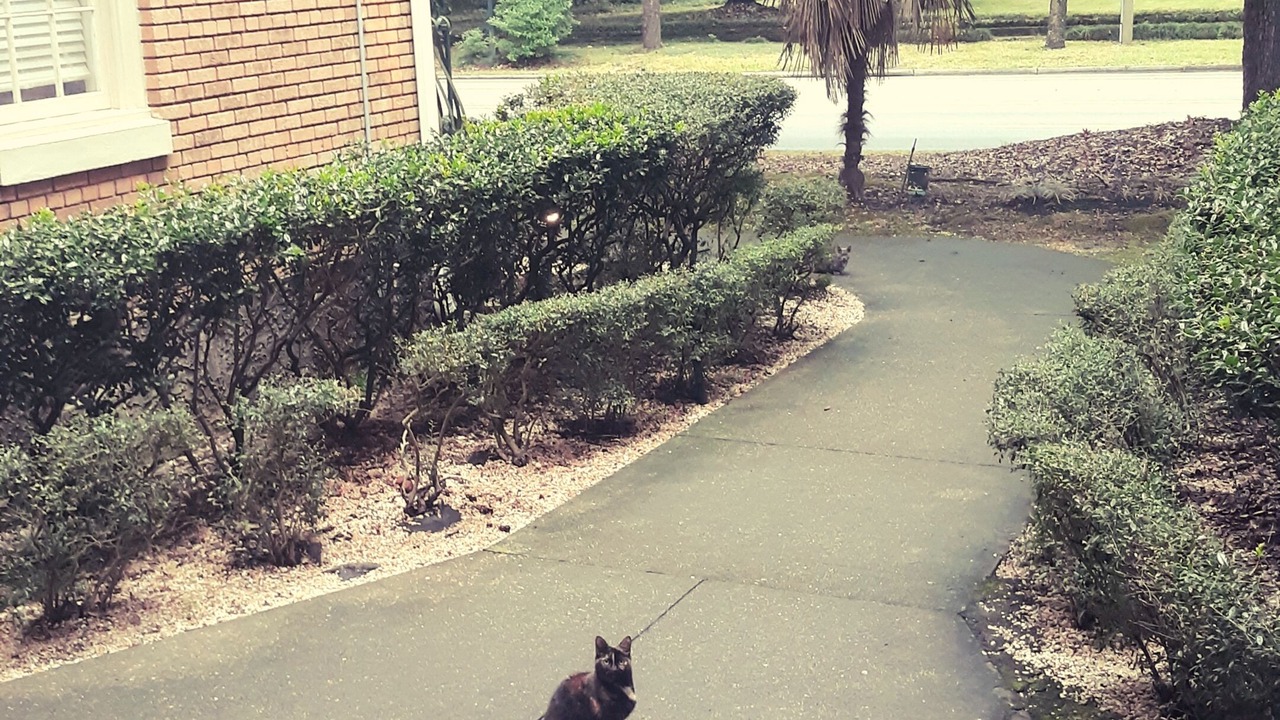 Photo of Outdoor in Hannon Park