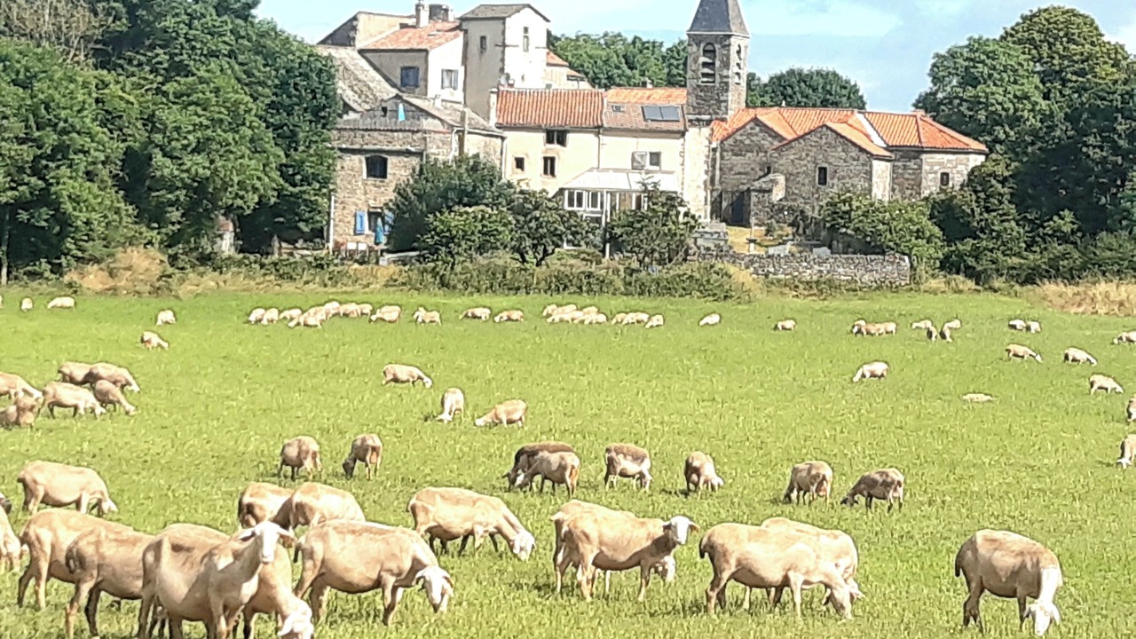 Photo of Others in La Couvertoirade
