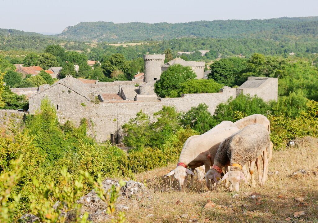 Photo of Others in La Couvertoirade