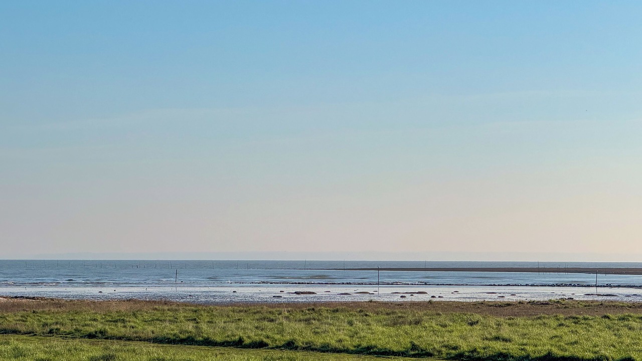 Photo of Others in Le Vivier-sur-Mer