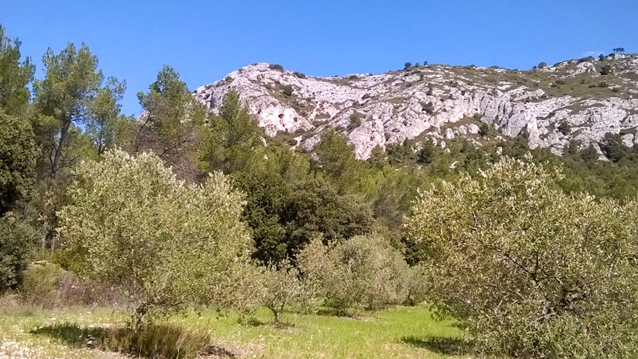 Photo of Others in Puget