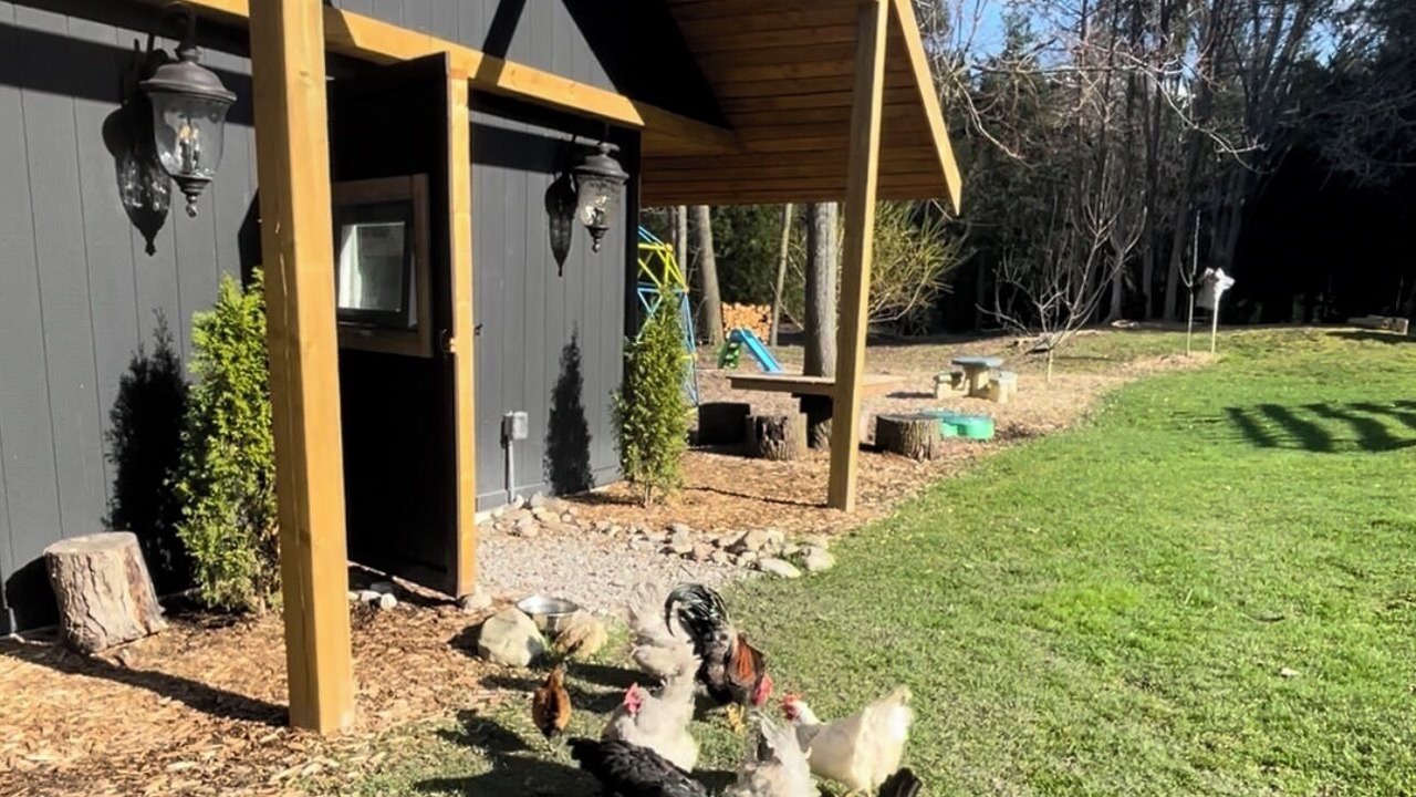 Photo of Outdoor in New Tecumseth