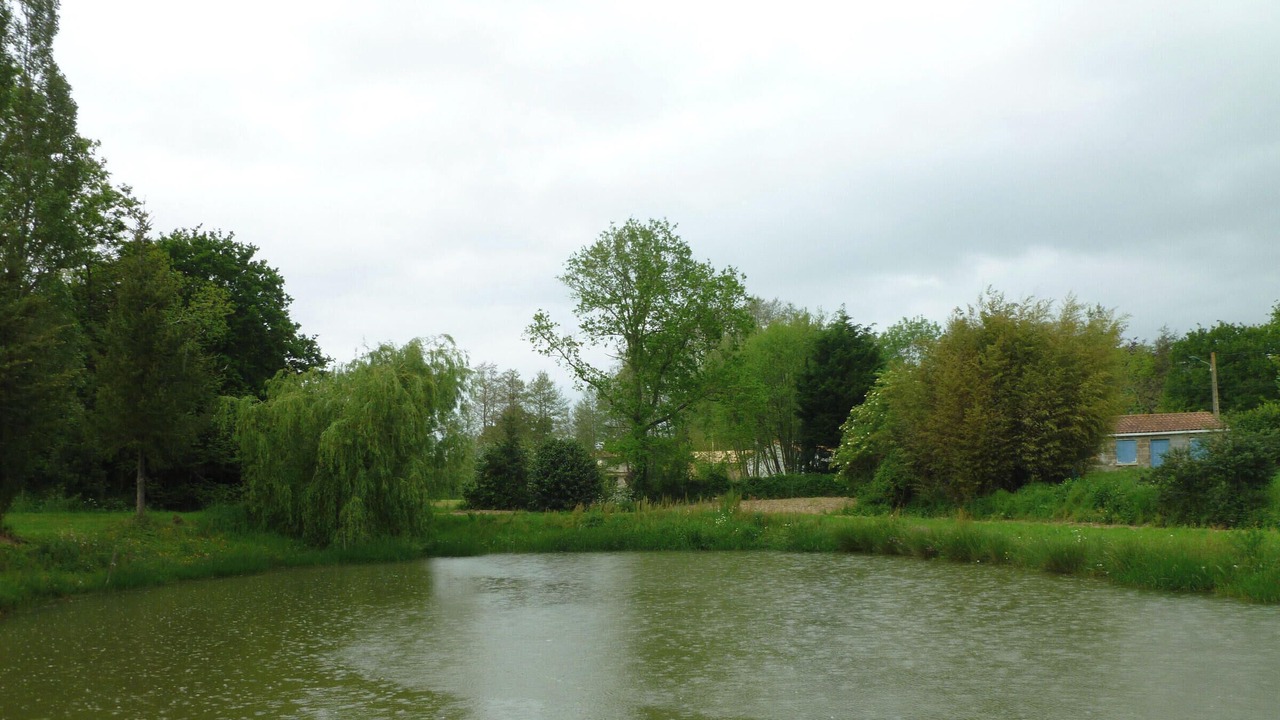 Photo of Others in Saint-Julien-des-Landes