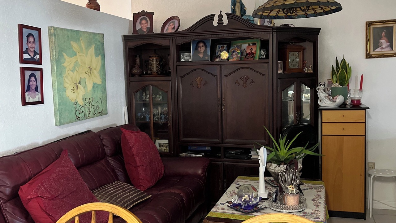 Photo of Livingroom in Tamiami
