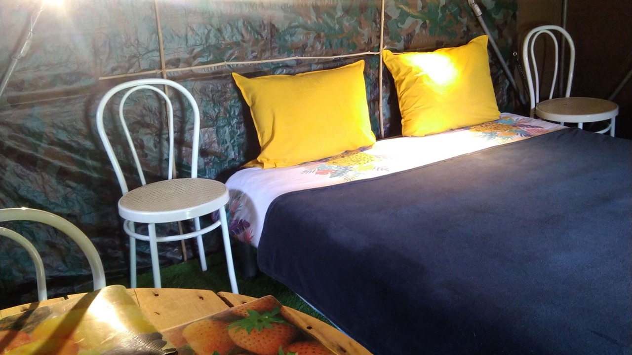 Photo of Bedroom in Arrest