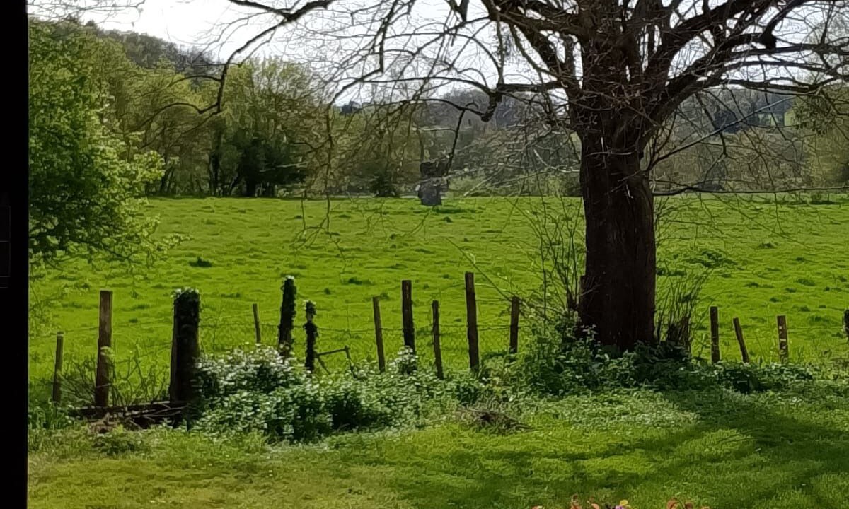 Photo of Outdoor in Gennes-Val-de-Loire