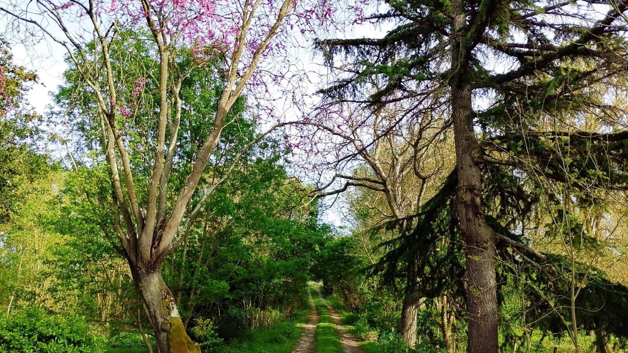 Photo of Others in Gennes-Val-de-Loire