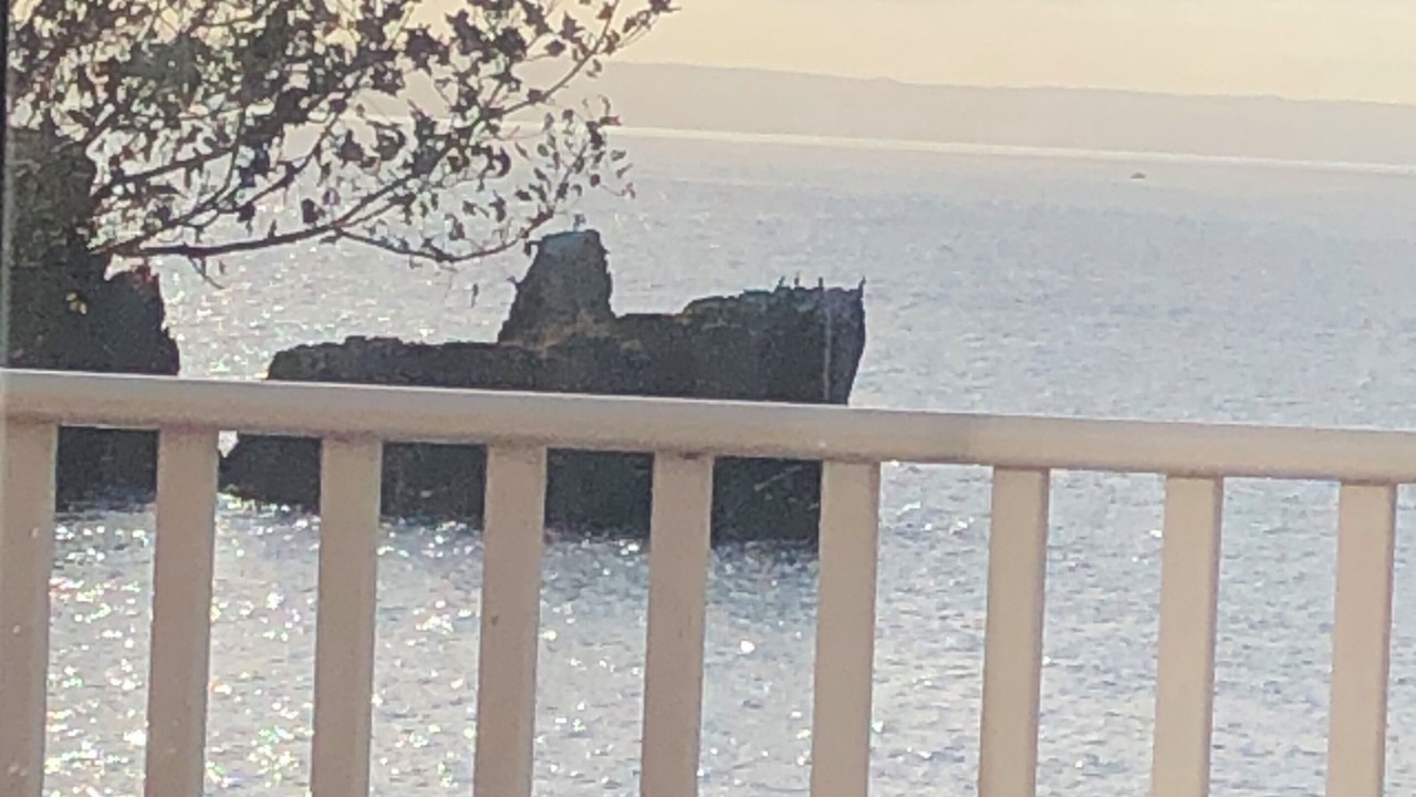 Photo of Outdoor in Port de Grave