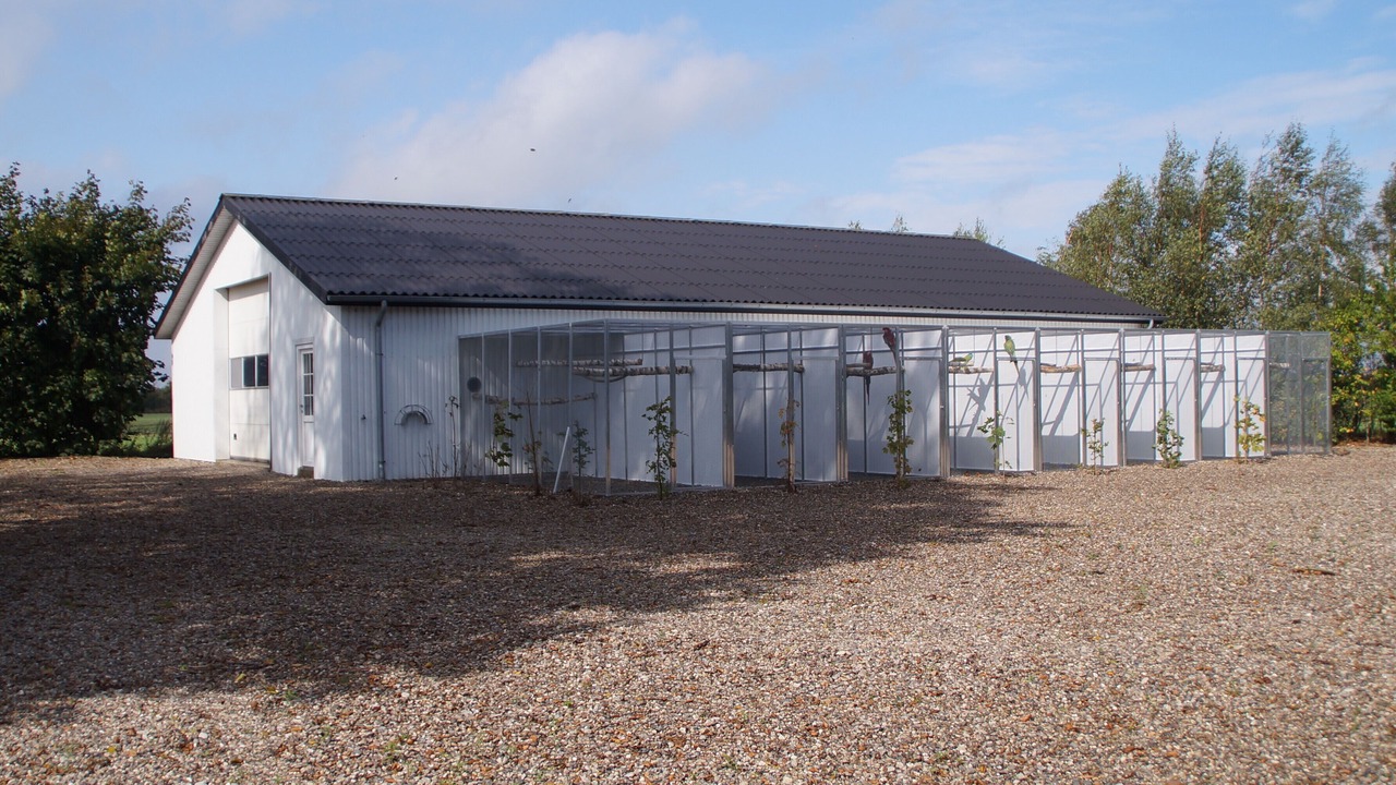 Photo of Outdoor in Aabenraa Municipality