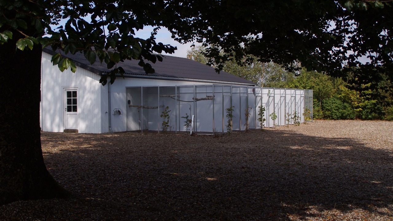Photo of Outdoor in Aabenraa Municipality
