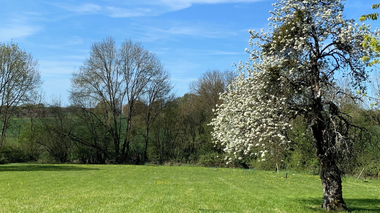 Photo of Outdoor in Belforet-en-Perche