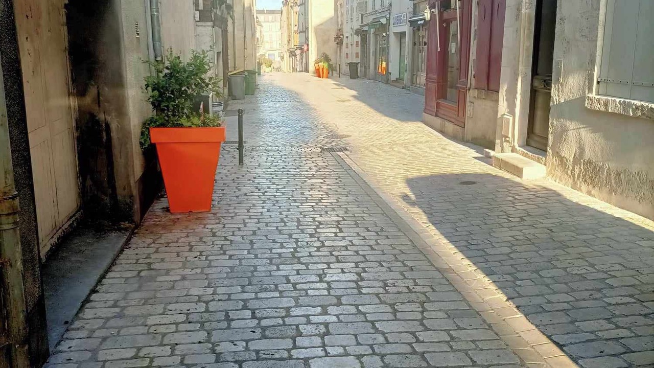 Photo of Others in Bourgogne
