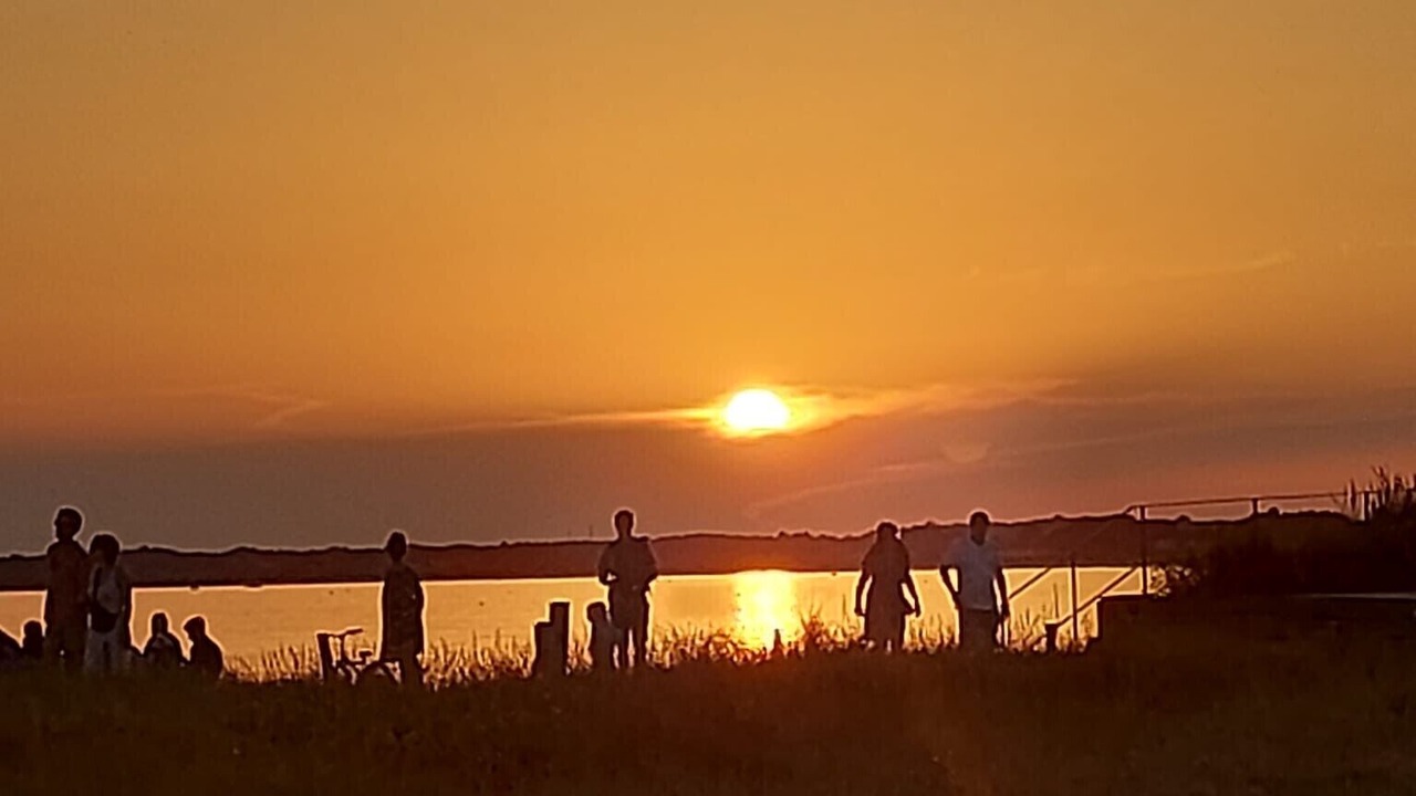 Photo of Others in Penvins