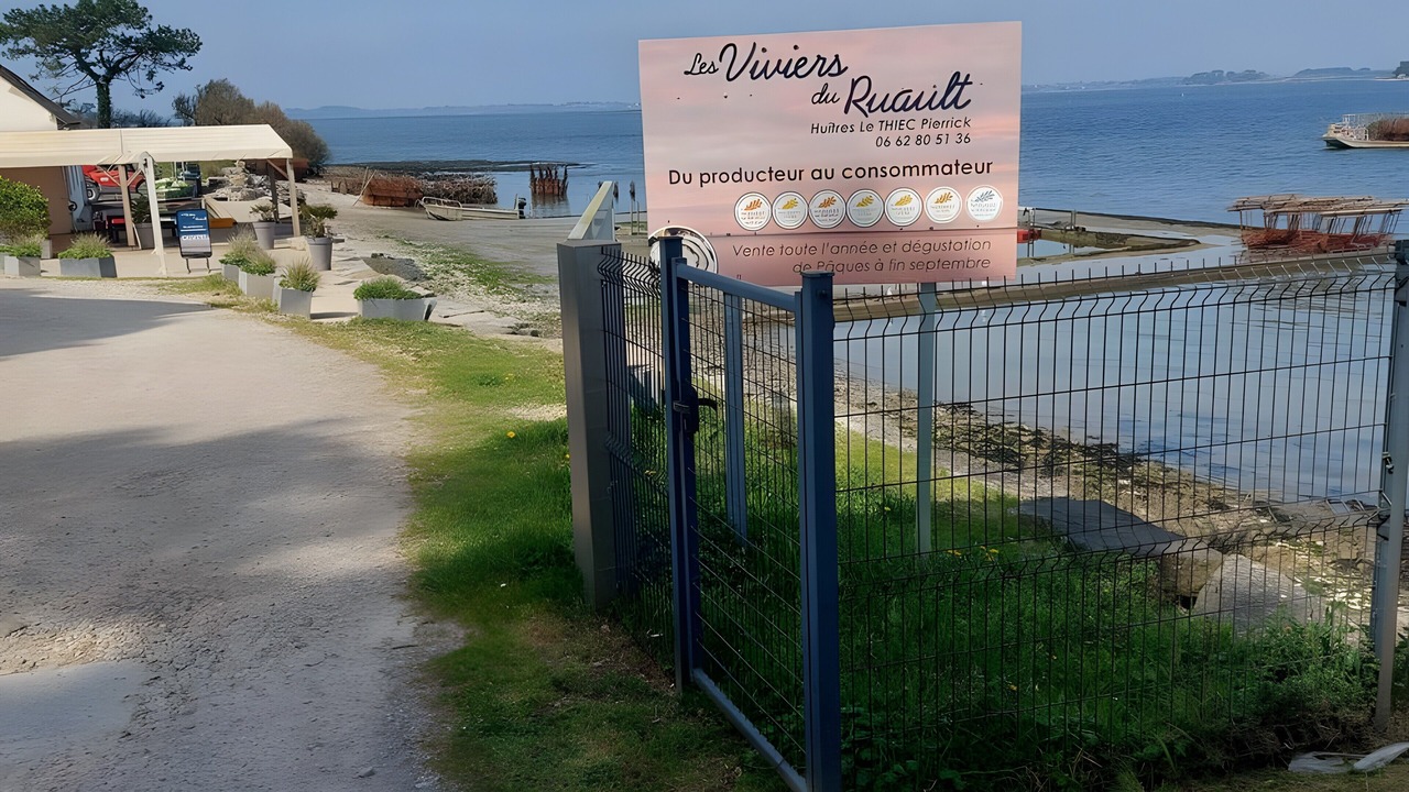 Photo of Outdoor in Penvins