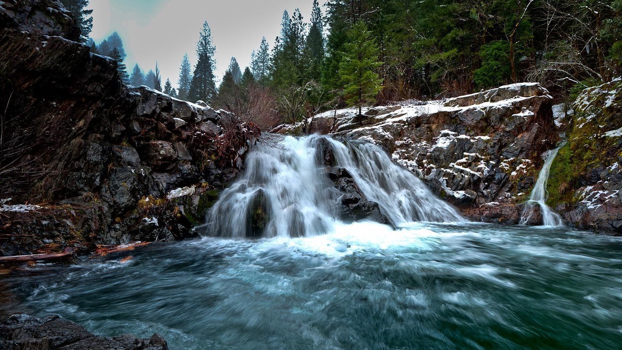 Photo of Others in Downieville
