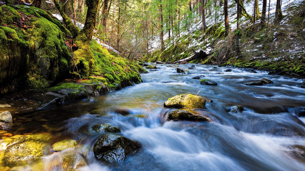 Photo of Others in Downieville