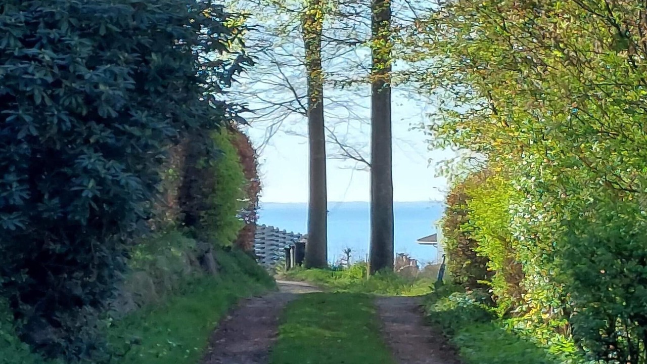 Photo of Others in Kelstrup