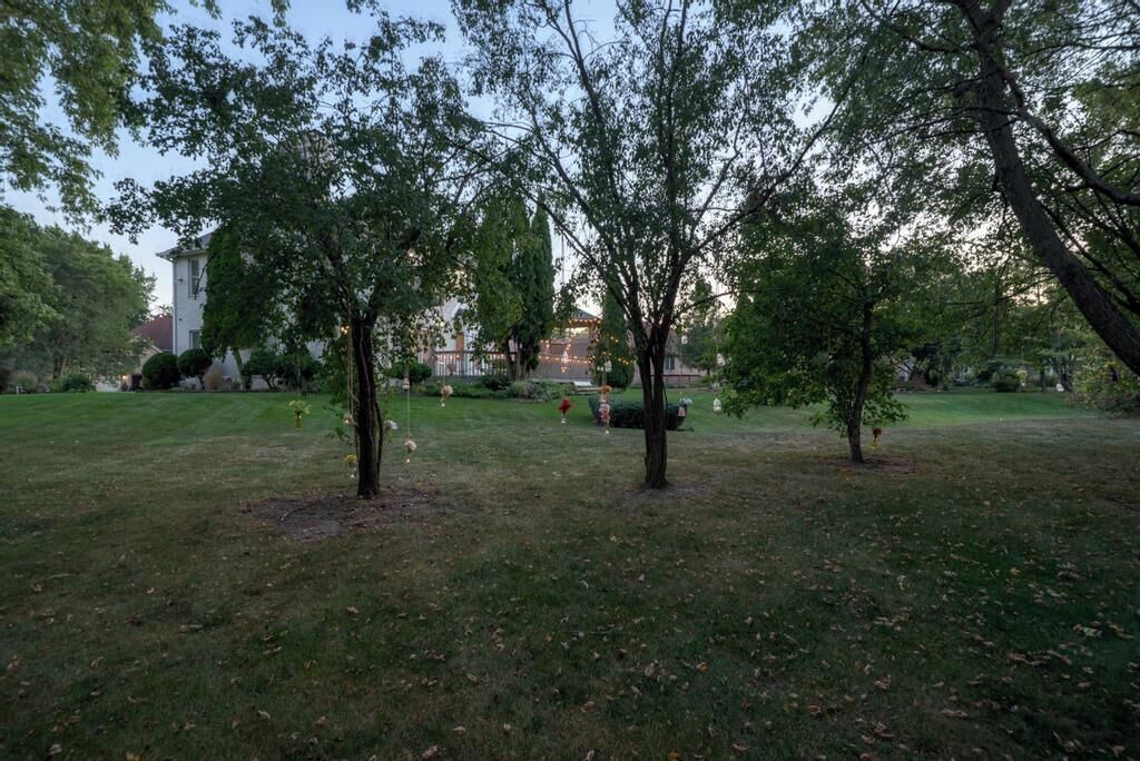 Photo of Outdoor in Bartlett