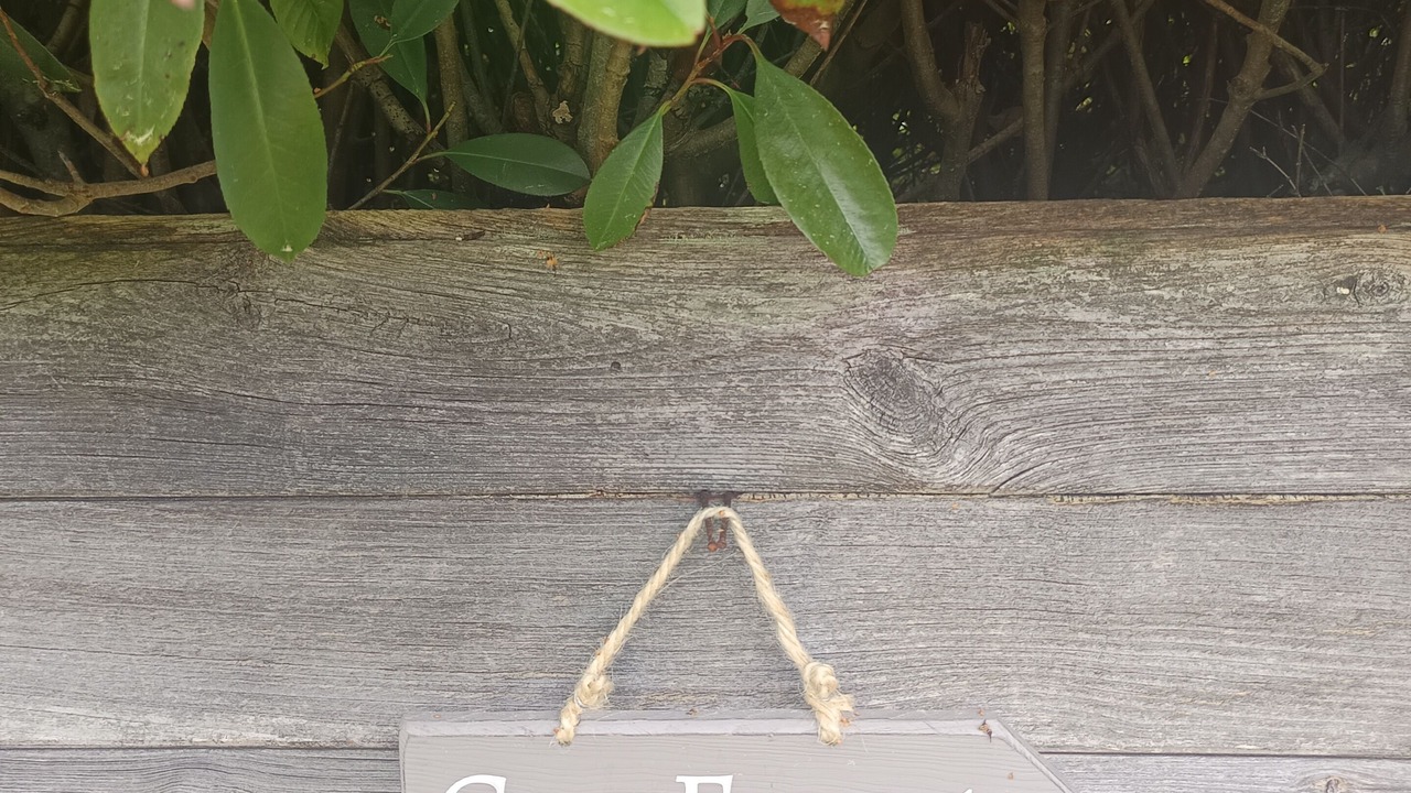 Photo of Outdoor in Saint-Jean-d'Illac