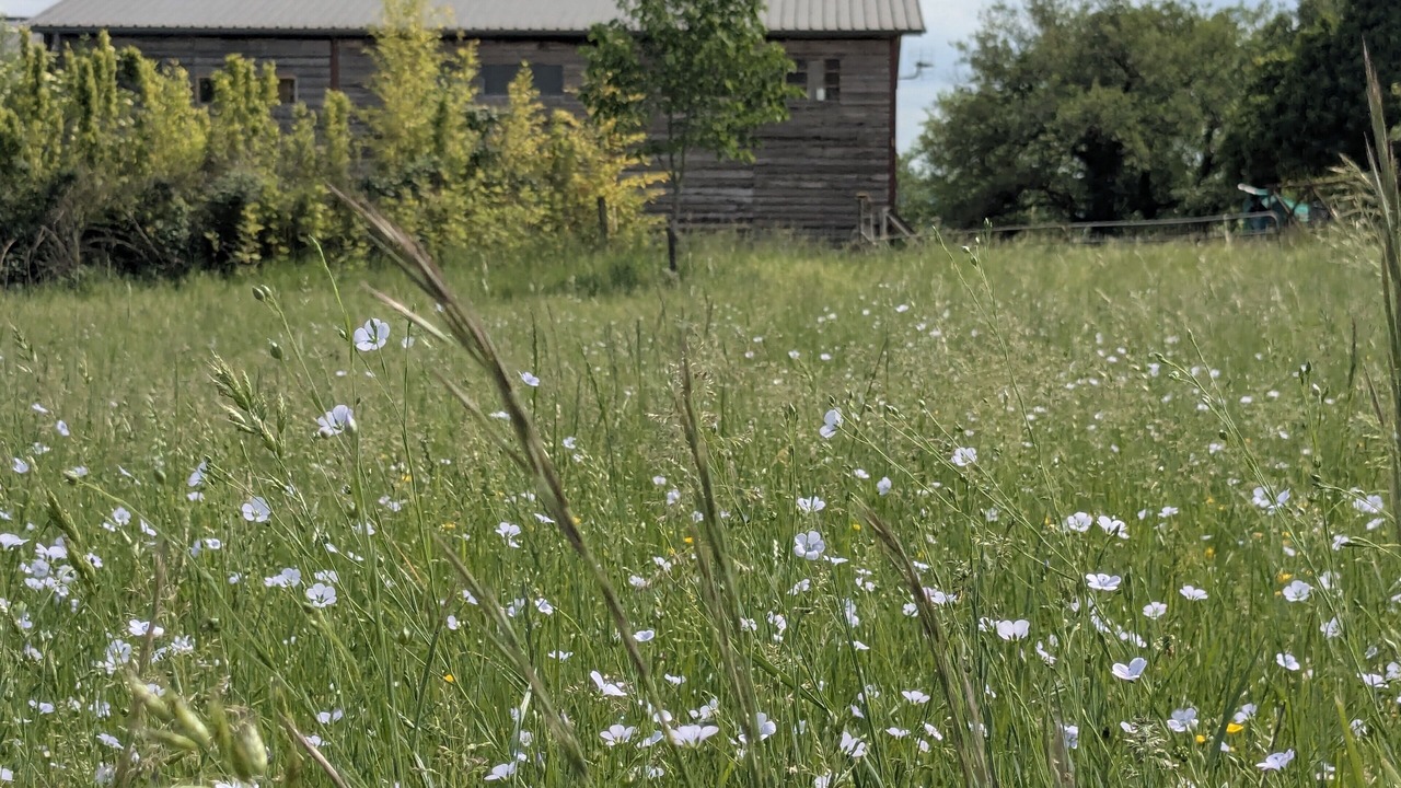 Photo of Outdoor in Martel