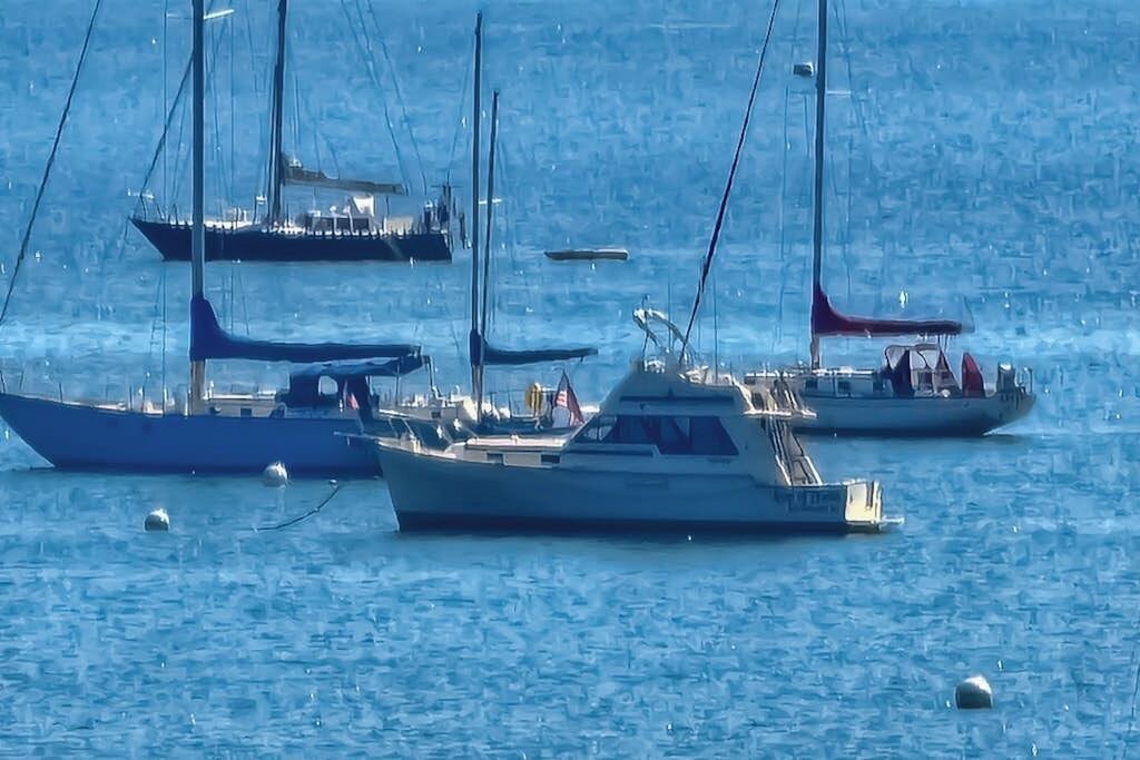 Photo of Others in Owls Head