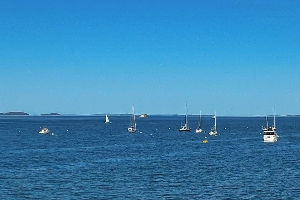 Photo of Others in Owls Head