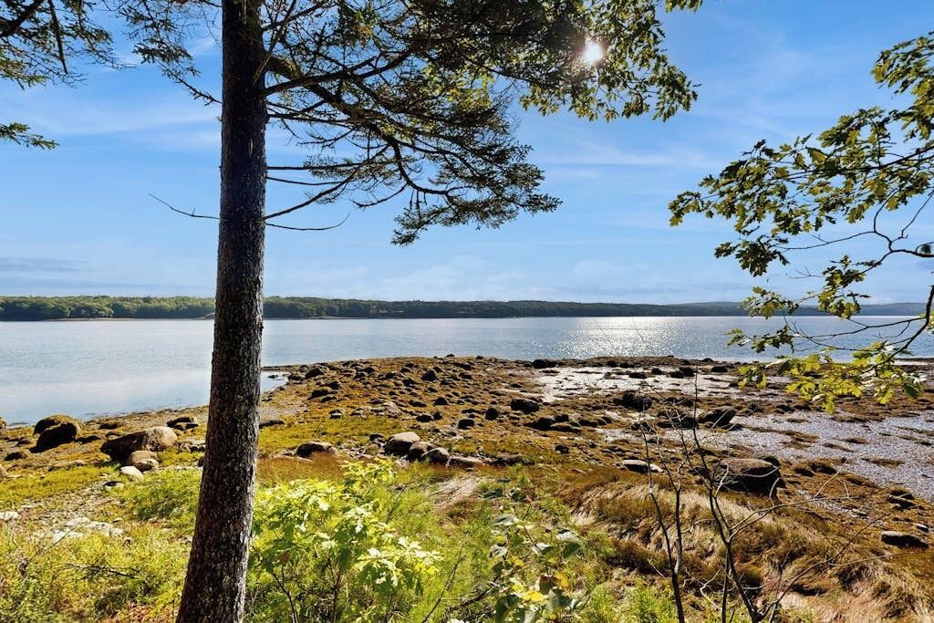 Photo of Others in Sandy Point