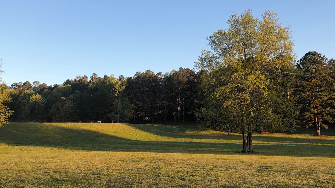 Photo of Others in Caddo Gap