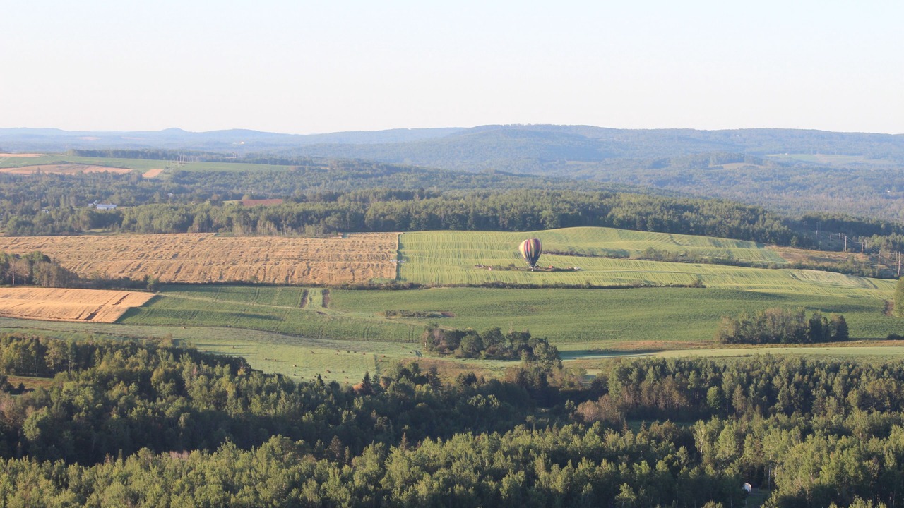 Photo of Others in Presque Isle