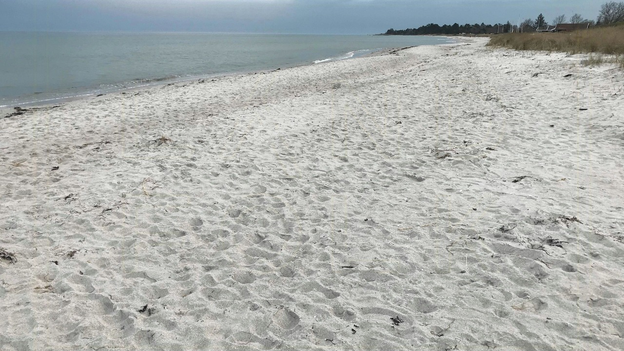 Photo of Others in Saksild Strand