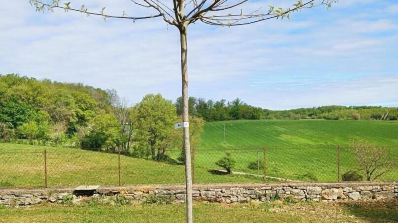 Photo of Outdoor in Degagnac