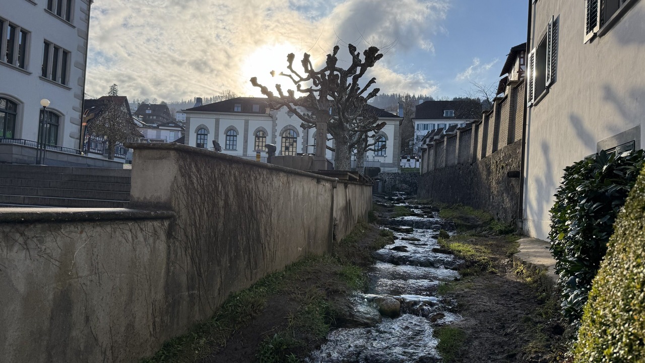 Photo of Outdoor in Zug