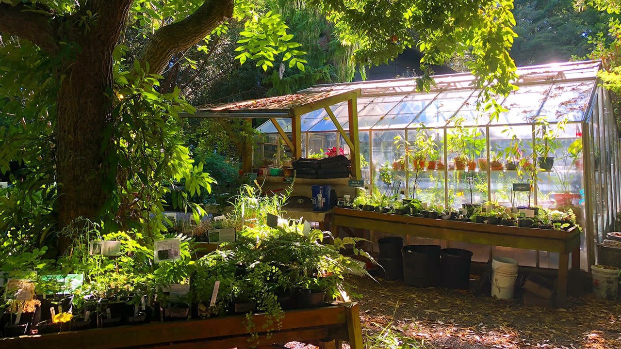 Photo of Outdoor in Shoreline