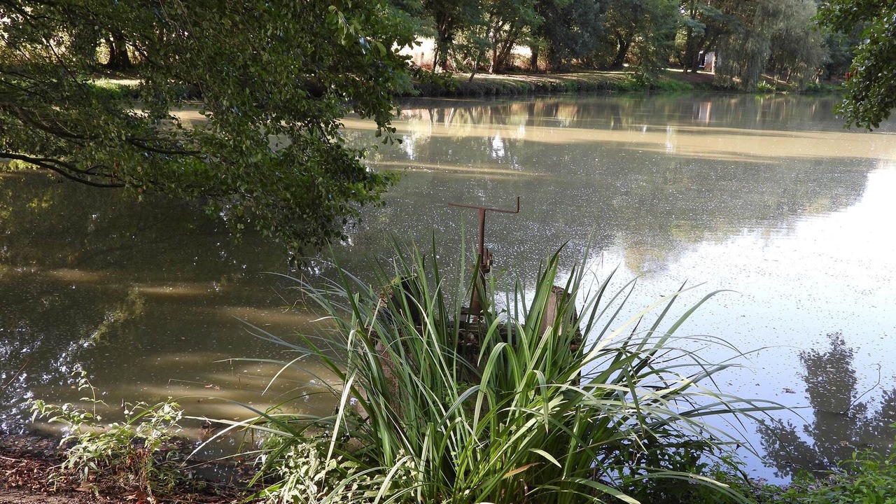 Photo of Others in Flere-la-Riviere