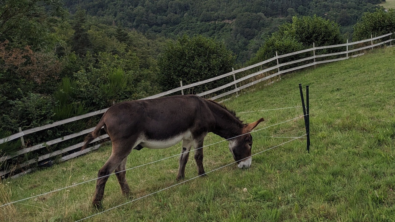 Photo of Others in Lafarre