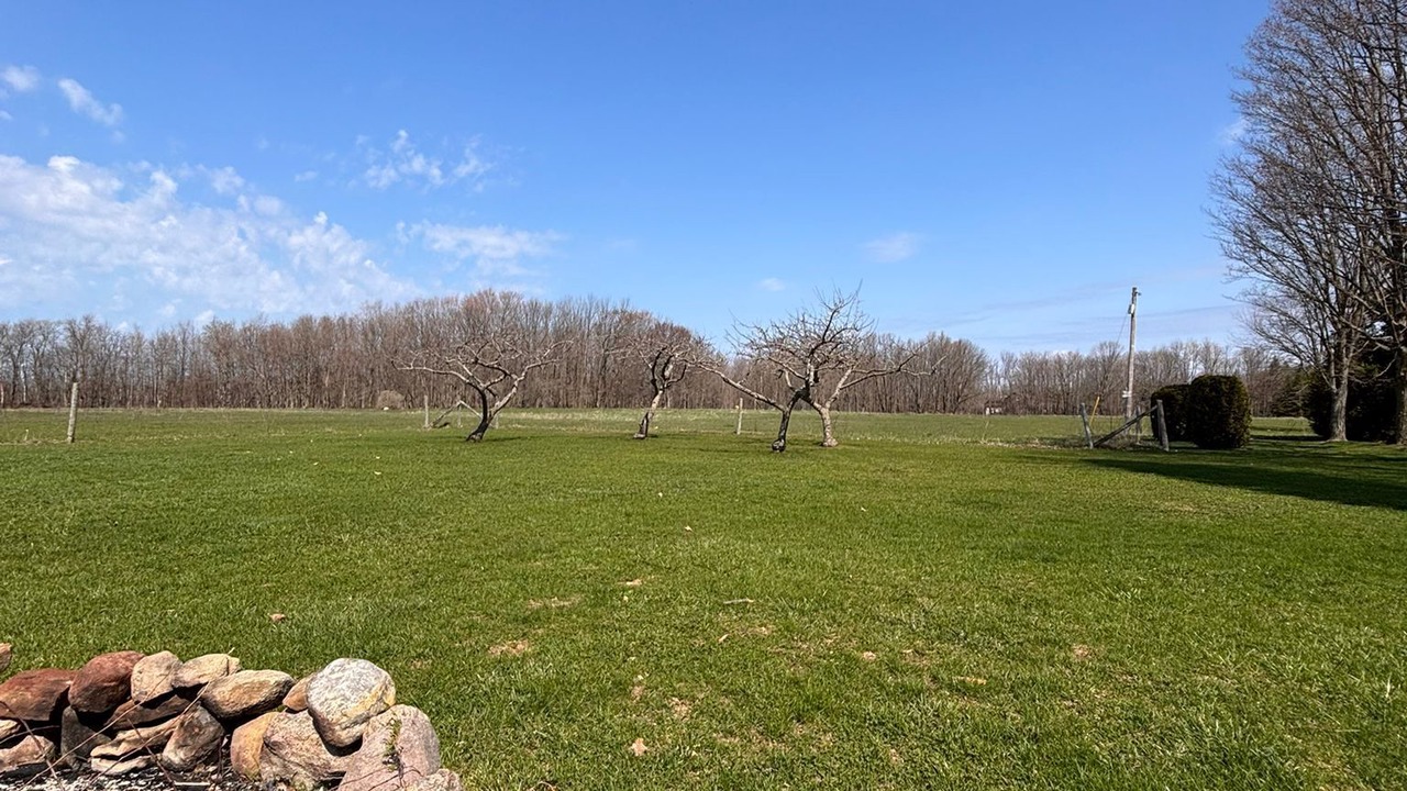 Photo of Others in Wiarton
