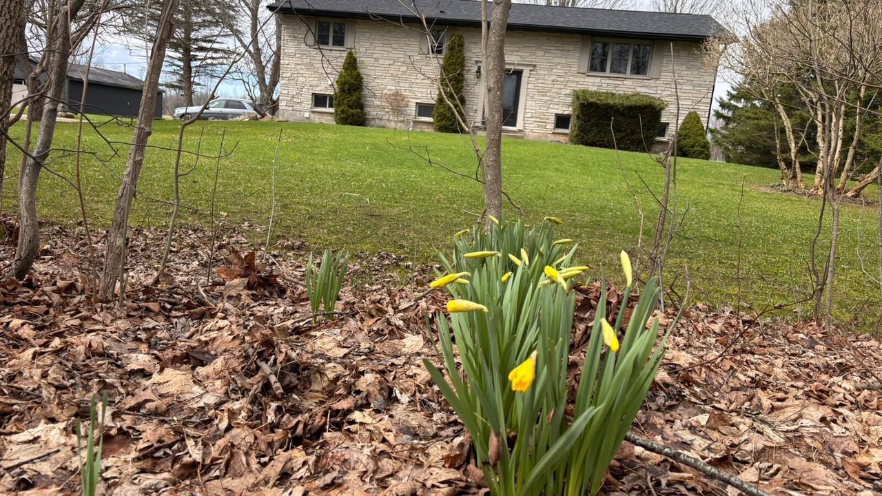 Photo of Outdoor in Wiarton