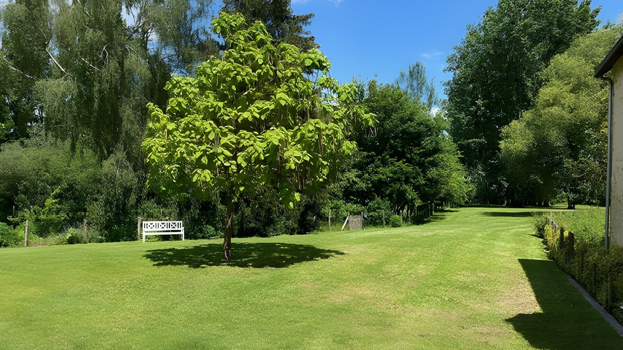 Photo of Outdoor in Fougere